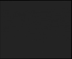 Nástup na běžecké tratě