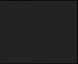 Nástup na běžecké tratě