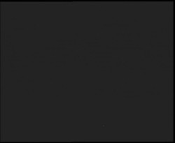 Nástup na běžecké tratě