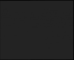 Nástup na běžecké tratě