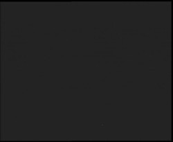 Nástup na běžecké tratě