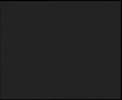 Nástup na běžecké tratě