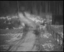 Nástup na běžecké tratě