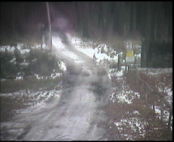 Nástup na běžecké tratě