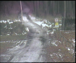 Nástup na běžecké tratě