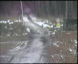 Nástup na běžecké tratě