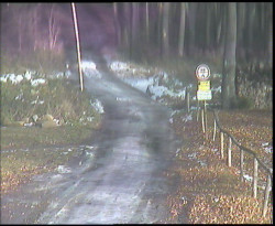 Nástup na běžecké tratě