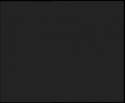 Nástup na běžecké tratě