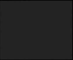 Nástup na běžecké tratě