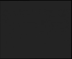 Nástup na běžecké tratě