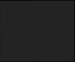 Nástup na běžecké tratě