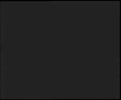 Nástup na běžecké tratě