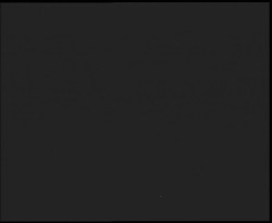 Nástup na běžecké tratě