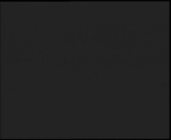 Nástup na běžecké tratě