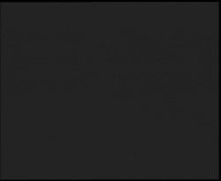 Nástup na běžecké tratě