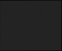 Nástup na běžecké tratě