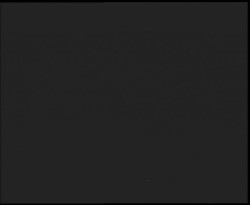 Nástup na běžecké tratě