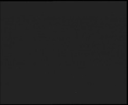 Nástup na běžecké tratě