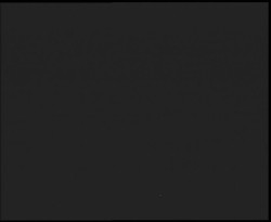 Nástup na běžecké tratě