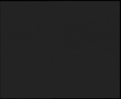 Nástup na běžecké tratě