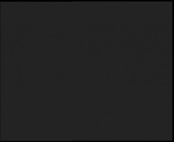 Nástup na běžecké tratě