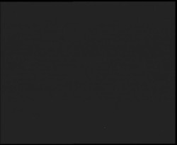 Nástup na běžecké tratě