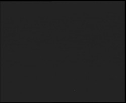 Nástup na běžecké tratě