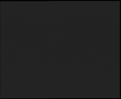 Nástup na běžecké tratě