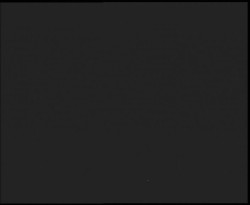 Nástup na běžecké tratě