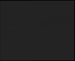 Nástup na běžecké tratě