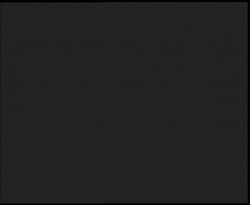 Nástup na běžecké tratě