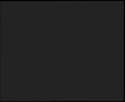 Nástup na běžecké tratě