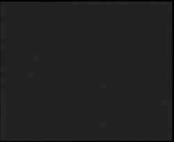 Nástup na běžecké tratě