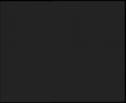 Nástup na běžecké tratě