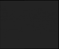 Nástup na běžecké tratě