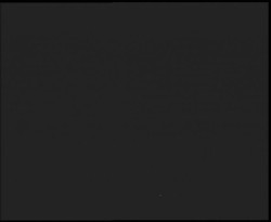 Nástup na běžecké tratě