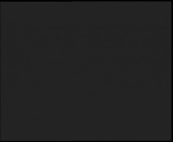 Nástup na běžecké tratě