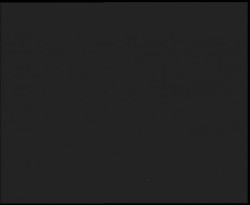 Nástup na běžecké tratě