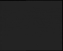 Nástup na běžecké tratě