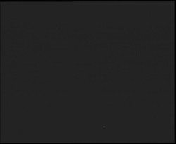 Nástup na běžecké tratě