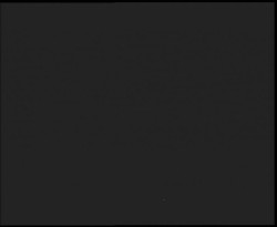 Nástup na běžecké tratě