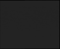 Nástup na běžecké tratě