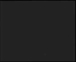 Nástup na běžecké tratě