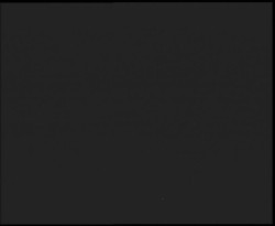 Nástup na běžecké tratě