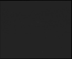 Nástup na běžecké tratě