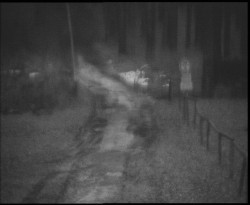 Nástup na běžecké tratě