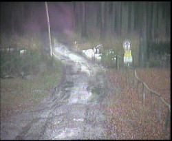 Nástup na běžecké tratě