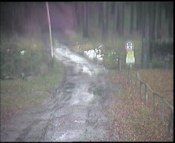 Nástup na běžecké tratě