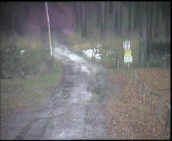 Nástup na běžecké tratě