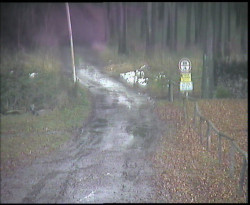 Nástup na běžecké tratě